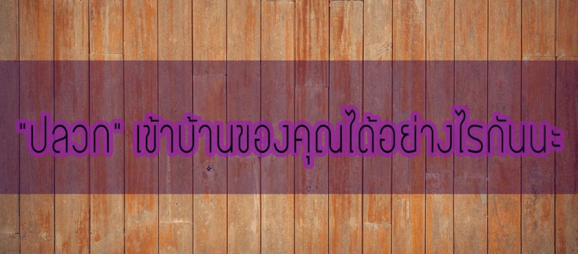 “ปลวก” เข้าบ้านของคุณได้อย่างไรกันนะ